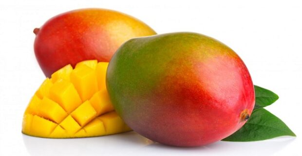 CRAZY MANGUE