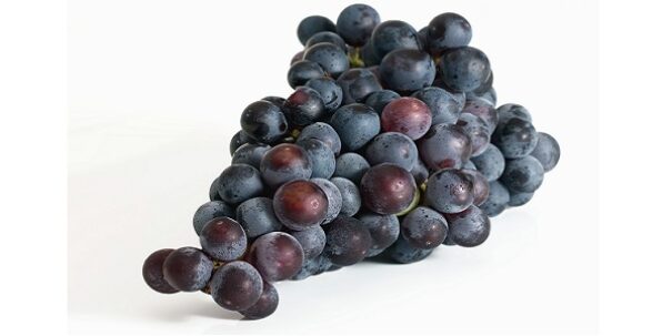 CRAZY VIGNERONNE
