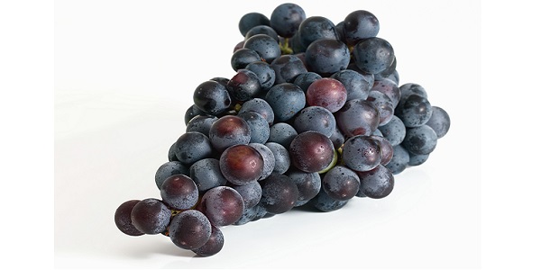 You are currently viewing CRAZY VIGNERONNE