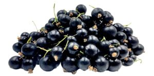Lire la suite à propos de l’article CRAZY CASSIS